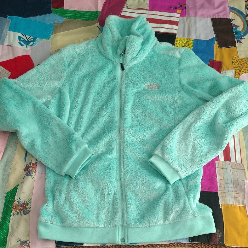 The North Face Light Green Fleece Jacket